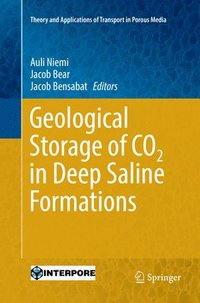 bokomslag Geological Storage of CO2 in Deep Saline Formations