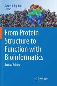bokomslag From Protein Structure to Function with Bioinformatics