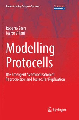 bokomslag Modelling Protocells