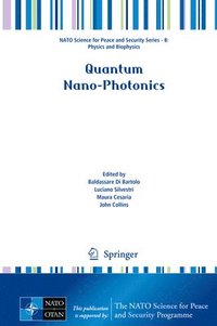 bokomslag Quantum Nano-Photonics