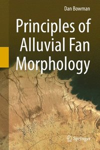 bokomslag Principles of Alluvial Fan Morphology