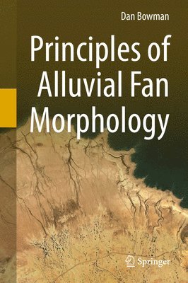 bokomslag Principles of Alluvial Fan Morphology