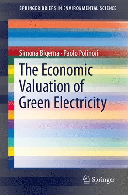 bokomslag Economic Valuation of Green Electricity