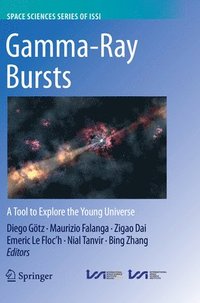bokomslag Gamma-Ray Bursts