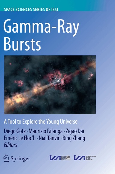 Diego Götz, Maurizio Falanga, Zigao Dai, Emeric Le Floc'h, Nial Tanvir, Bing Zhang - Gamma-Ray Bursts, Häftad