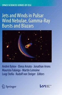 bokomslag Jets and Winds in Pulsar Wind Nebulae, Gamma-Ray Bursts and Blazars