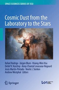 bokomslag Cosmic Dust from the Laboratory to the Stars