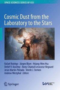 bokomslag Cosmic Dust from the Laboratory to the Stars