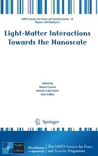 bokomslag Light-Matter Interactions Towards the Nanoscale