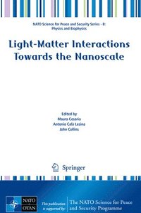 bokomslag Light-Matter Interactions Towards the Nanoscale