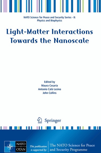 Maura Cesaria, Antonio Calà Lesina, John Collins - Light-Matter Interactions Towards the Nanoscale, Häftad