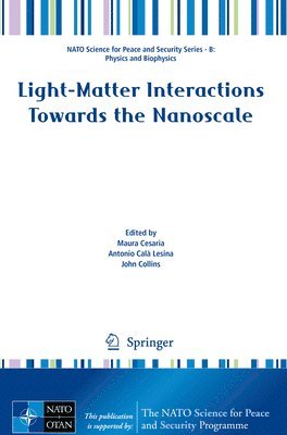 Light-Matter Interactions Towards the Nanoscale 1