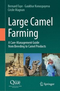 bokomslag Large Camel Farming