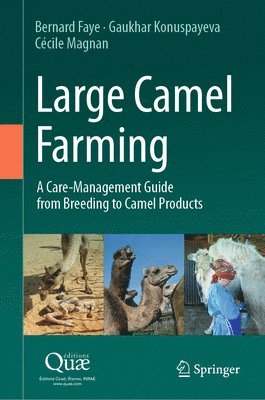 Large Camel Farming 1