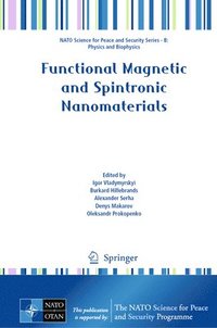 bokomslag Functional Magnetic and Spintronic Nanomaterials