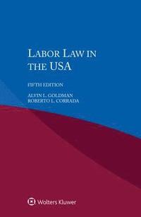 bokomslag Labour Law in the USA