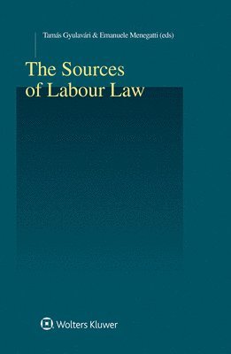 Tamás Gyulavári, Emanuel Menegatti - Sources of Labour Law, Inbunden