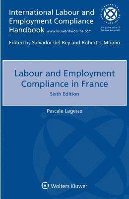 bokomslag Labour and Employment Compliance in France