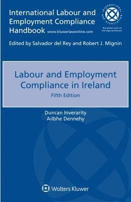 bokomslag Labour and Employment Compliance in Ireland