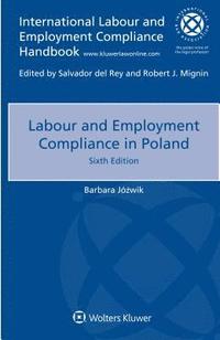 bokomslag Labour and Employment Compliance in Poland