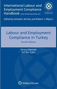 bokomslag Labour and Employment Compliance in Turkey