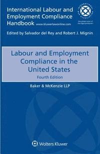 bokomslag Labour and Employment Compliance in the United States