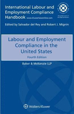 bokomslag Labour and Employment Compliance in the United States