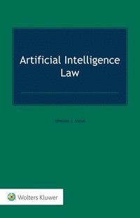 bokomslag Artificial Intelligence Law