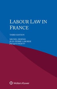 bokomslag Labour Law in France