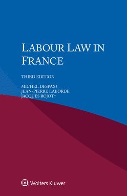 bokomslag Labour Law in France