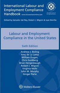 bokomslag Labour and Employment Compliance in the United States