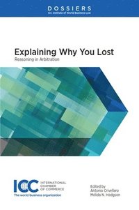 bokomslag Explaining Why You Lost