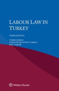 bokomslag Labour Law in Turkey
