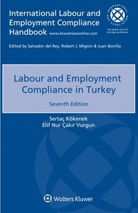 bokomslag Labour and Employment Compliance in Turkey