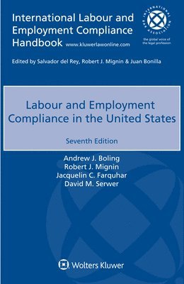 bokomslag Labour and Employment Compliance in The United States