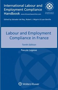 bokomslag Labour and Employment Compliance in France