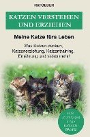 bokomslag Katzen erziehen und verstehen