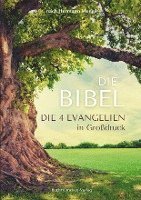 bokomslag Die Bibel nach Hermann Menge