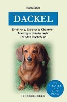 Dackel 1