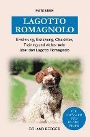 Lagotto Romagnolo 1