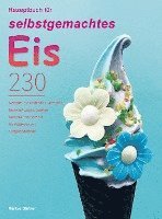 bokomslag Rezeptbuch für selbstgemachtes Eis