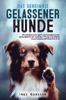 bokomslag Das Geheimnis gelassener Hunde