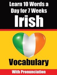 bokomslag Irish Vocabulary Builder