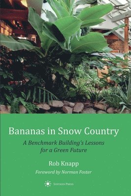 Bananas in Snow Country 1