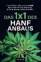 Das 1x1 des Hanfanbaus - Indoor & Outdoor 1