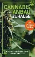 Cannabis-Anbau zu Hause 1