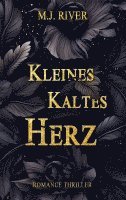 bokomslag Kleines Kaltes Herz