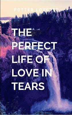 bokomslag Perfect Life of Love in Tears
