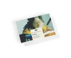 bokomslag Vermeer