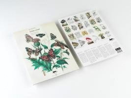 Natural History